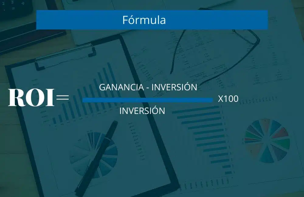 ROI formula